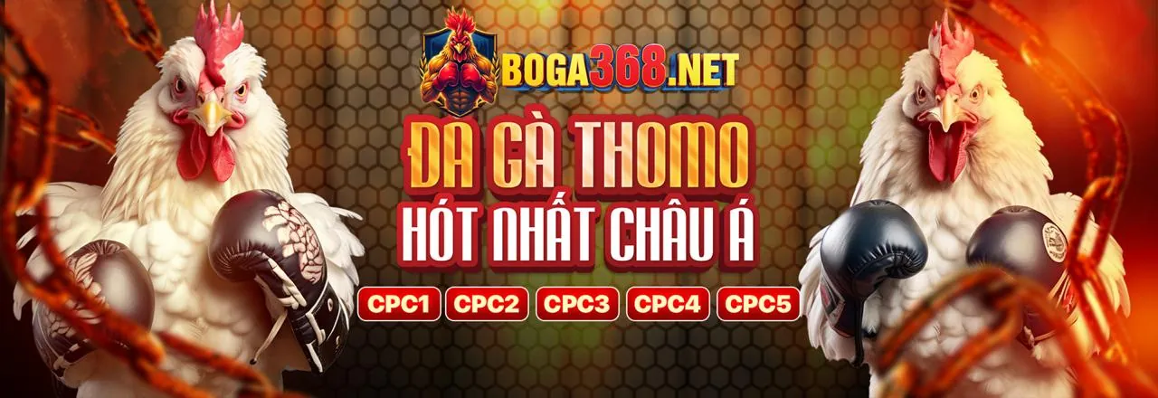 Sân đấu đá gà trực tuyến kịch tính tại yo88 win