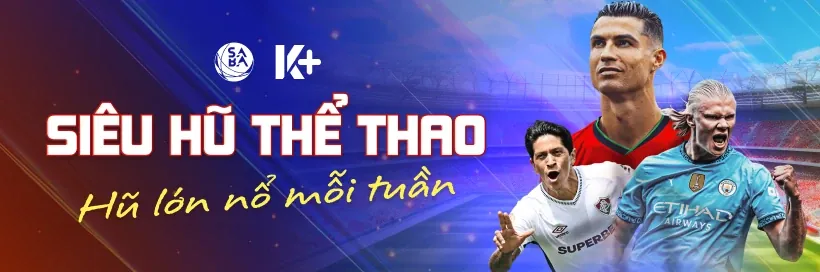 Động lực thi đấu và mục tiêu của đội