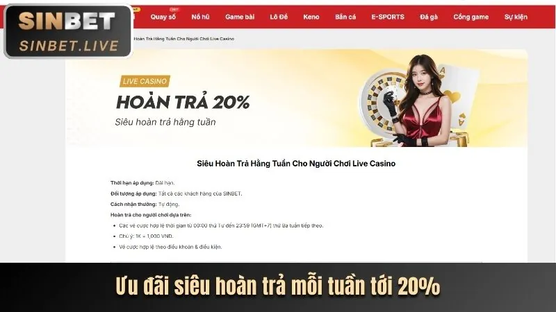Hoàn trả thể thao yo88 win